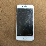 iPhone 6