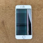 iPhone 6