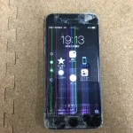 iPhone 6