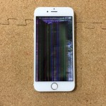 iPhone 6