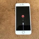 iPhone6